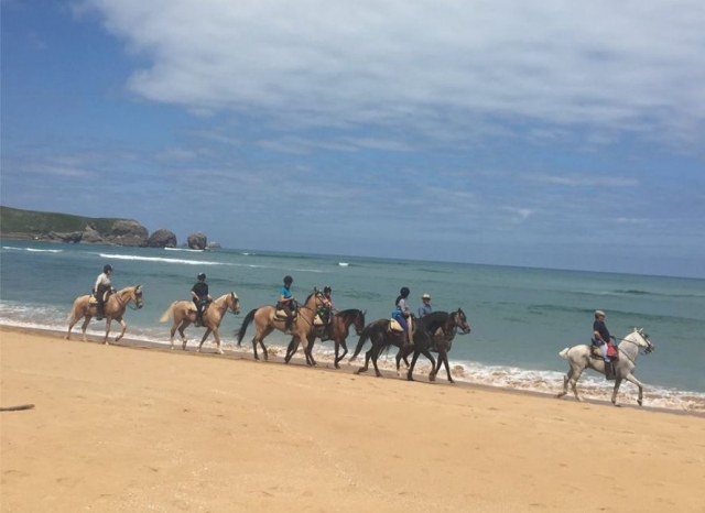 Excursion al borde de la playa